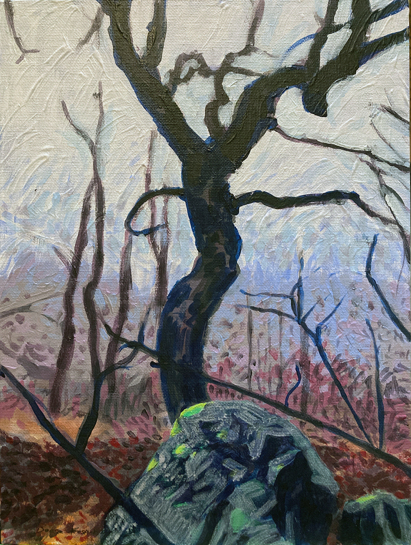 Trees of Virginia: Loft Mountain